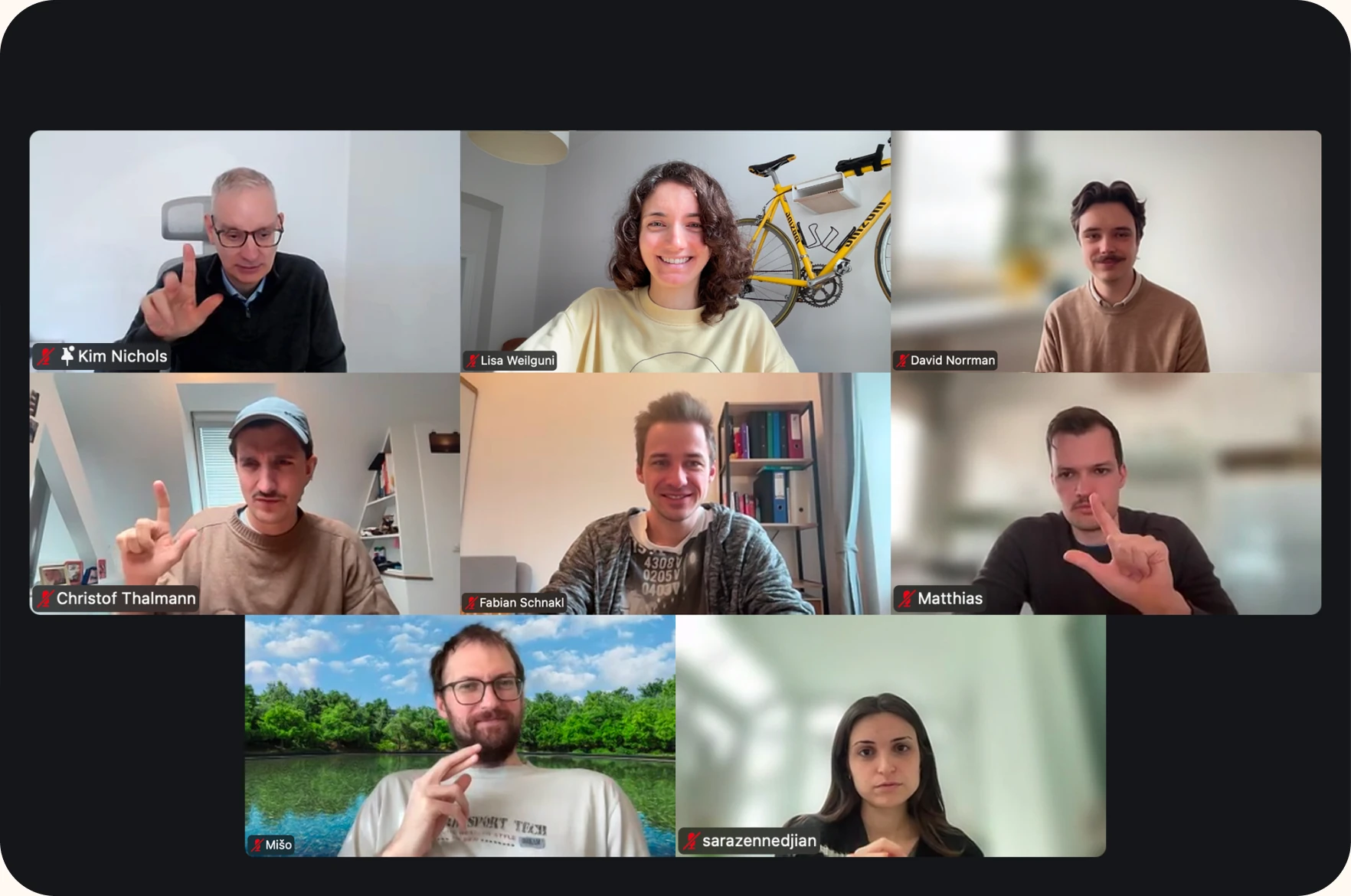 Lingvano team on a video call showing our diverse international team